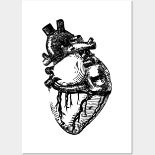 Heart Art Posters and Art